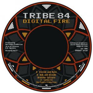 DIVIDE AND RULE / DUB
