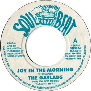 JOY IN THE MORNING / SHE WANT IT