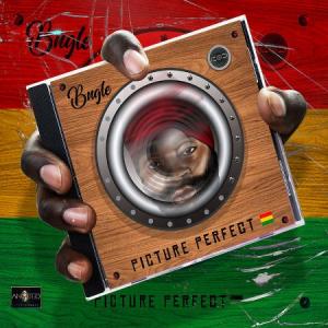 PICTURE PERFECT(2CD)