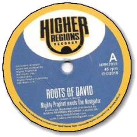 ROOTS OF DAVID / ROOTS OF DUB