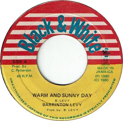 WARM AND SUNNY DAY (VG+) / VERSION (VG)