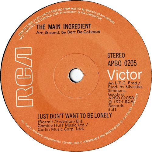 JUST DON'T WANT TO BE LONELY (VG+) / GOODBYE MY LOVE
