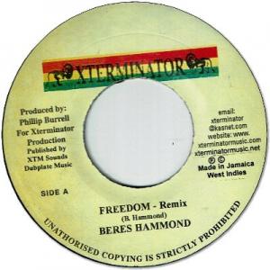 FREEDOM Remix