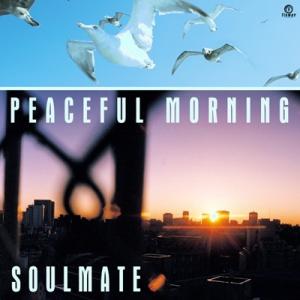 PEACEFUL MORNING(New Mix) / PEACEFUL MORNING(DJ Nori's Heart Of Soul)