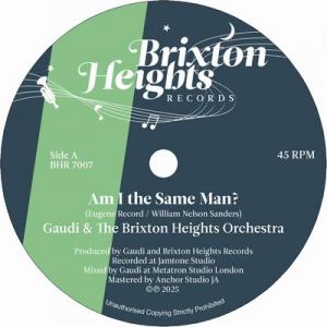 AM I THE SAME MAN / AM I THE DUB MAN