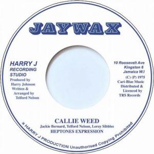 CALLIE WEED