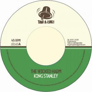 THE WICKED HARM / VERSION