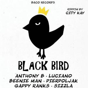 BLACK BIRD RIDDIM