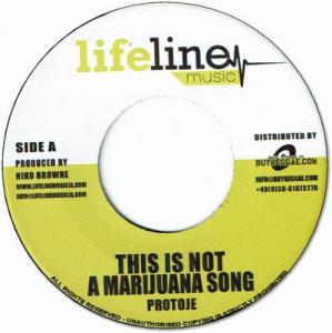 THIS IS NOT A MARIJUANA SONG / Version