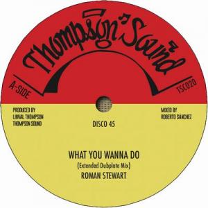 WHAT YOU WANNA DO / AFRICA