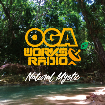 OGA WORKS RADIO MIX Vol.12 : Natural Mystic