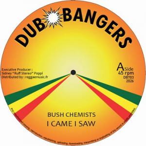 I CAME I SAW / DUBWISE