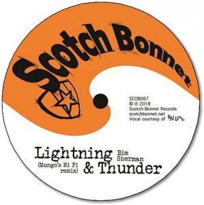 LIGHTNING & THUNDER(Mungo's Hi Fi Remix) / THUNDERCLAP DUB