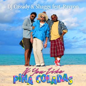 IF YOU LIKE PINA COLADAS / INSTRUMENTAL (Green Vinyl)