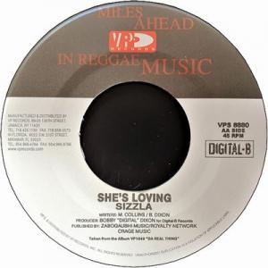 SHE'S LOVING(33rpm)