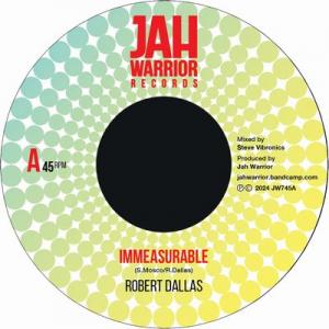 IMMEASURABLE / DUB