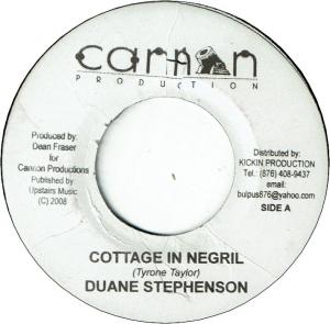 COTTAGE IN NEGRIL (VG+) / WITHOUT YOU (VG)