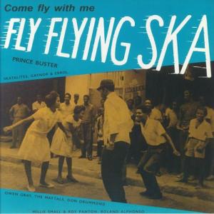 FLY FLYING SKA