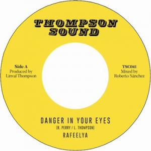 DANGER IN YOUR EYES  / DUB IN YOUR EYES