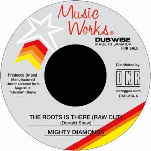 THE ROOTS IS THERE(Raw Cut) / DUB IS THERE