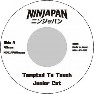 TEMPTED TO TOUCH / WHAT YOU DIS?