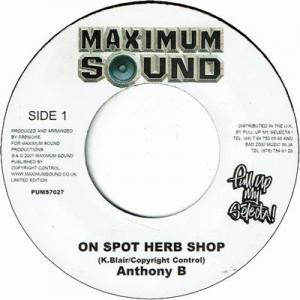 ON SPOT HERB SHOP / VERSION
