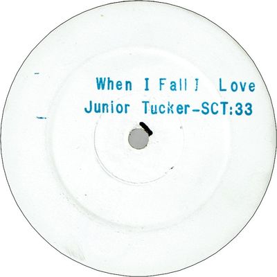 WHEN I FALL IN LOVE (VG+) / WANNA HAVE FUN