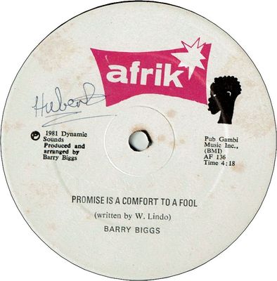 PROMISE IS A COMFORT TO A FOOL (VG+/WOL) / GIRL I REALLY LOVE YOU (VG+)