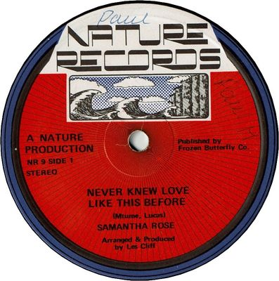 NEVER KNEW LOVE LIKE THIS BEFORE (VG+/WOL) / VERSION (VG)