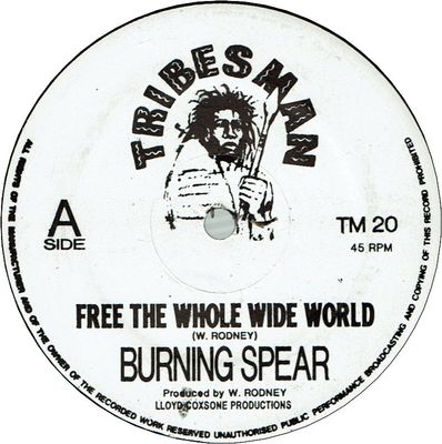 FREE THE WHOLE WIDE WORLD (VG+) / JAH JAH NO DEAD (VG+)
