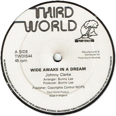 WIDE AWAKE IN A DREAM (VG+) / SCRAP IRON ROCK (VG+)