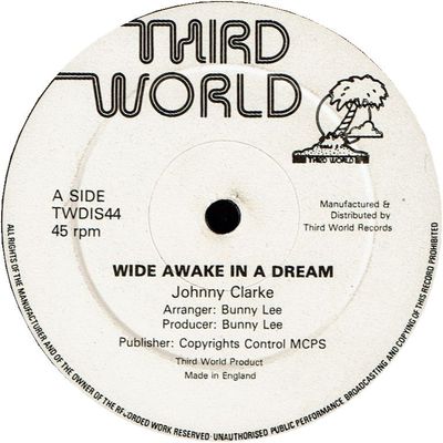 WIDE AWAKE IN A DREAM (VG+) / SCRAP IRON ROCK (VG+)