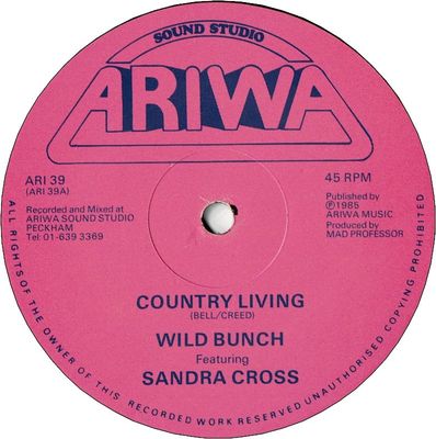 COUNTRY LIVING (VG+) / DEVIL'S PLAYGROUND (VG+)