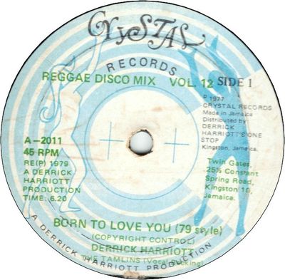 BORN TO LOVE YOU(79 Style) (VG to VG+) / INSTRUMENTAL