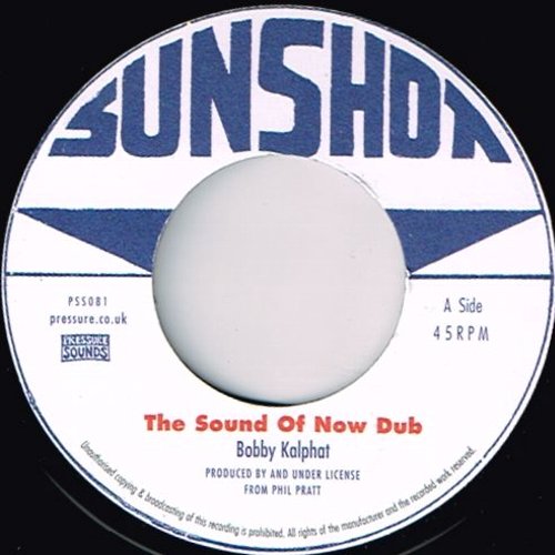 THE SOUND OF NOW DUB / DUB HILL