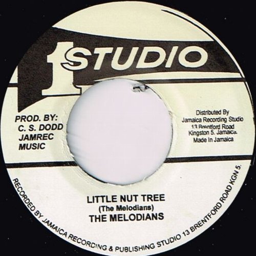 LITTLE NUT TREE