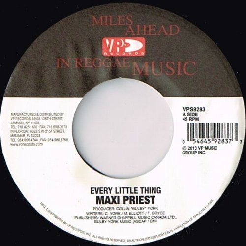 EVERY LITTLE THING