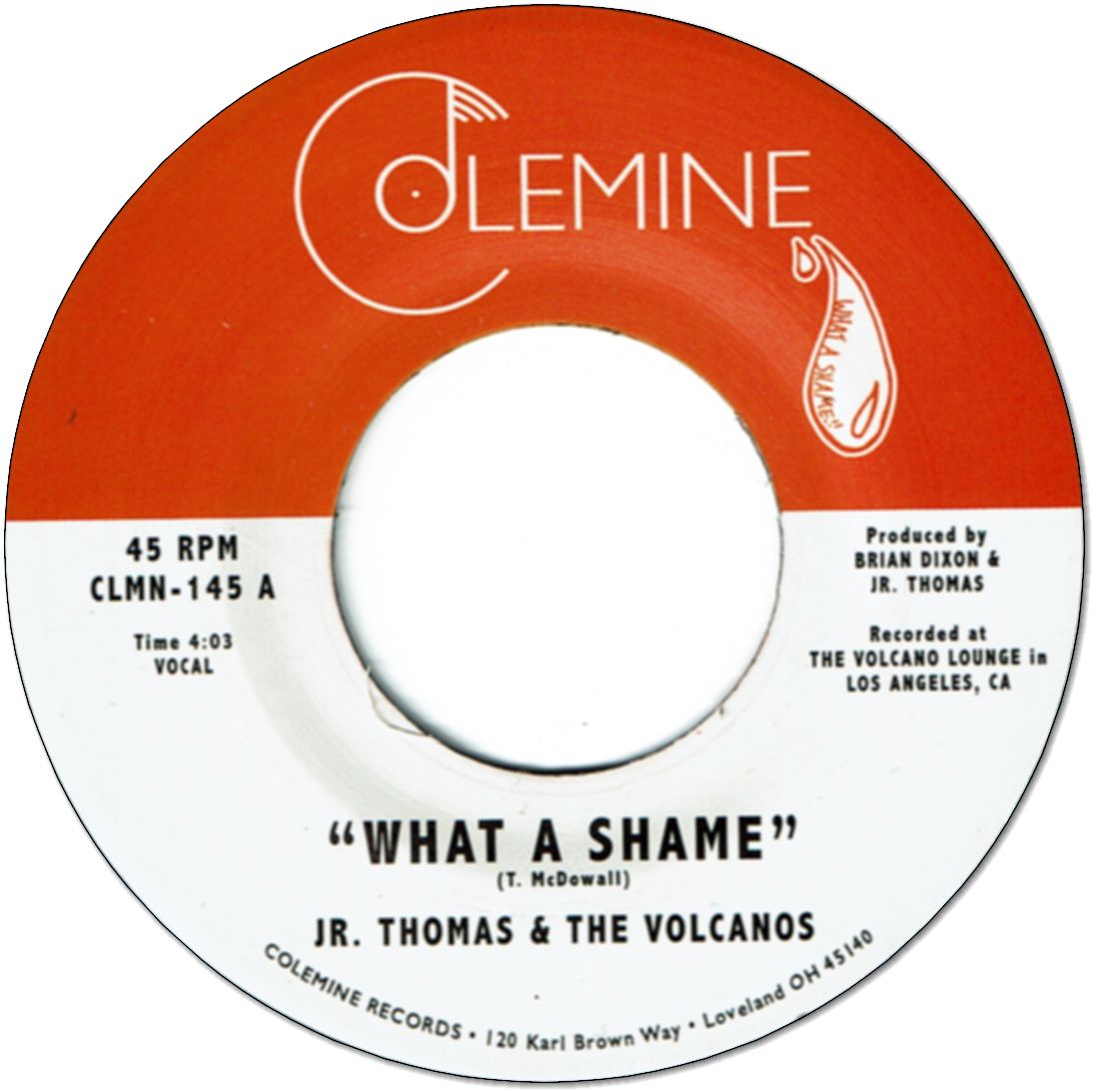 WHAT A SHAME / BRIAN WILSON