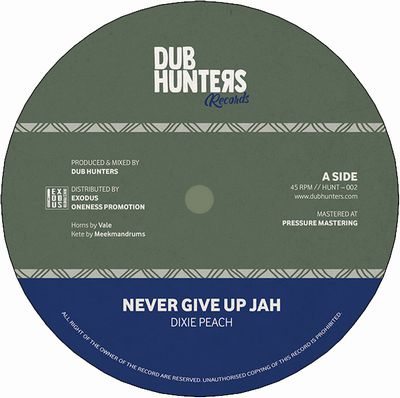 NEVER GIVE JAH UP / MELODICA VERSION