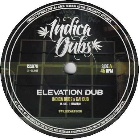 ELEVATION DUB / HIGHER DUB