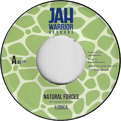 NATURAL FORCES / DUB