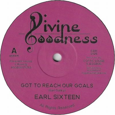 GOT TO REACH OUR GOALS / FOLLOW JAH LIGHT