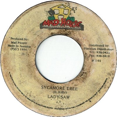 SYCAMORE TREE (VG/LD)