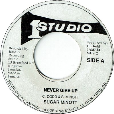 NEVER GIVE UP (VG+) / VERSION (VG+)