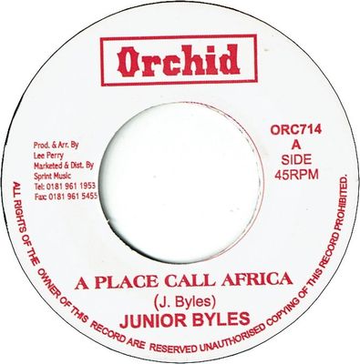 A PLACE CALL AFRICA / VERSION