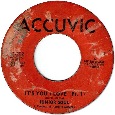 IT'S YOU I LOVE (VG+/LD) / VERSION (VG)