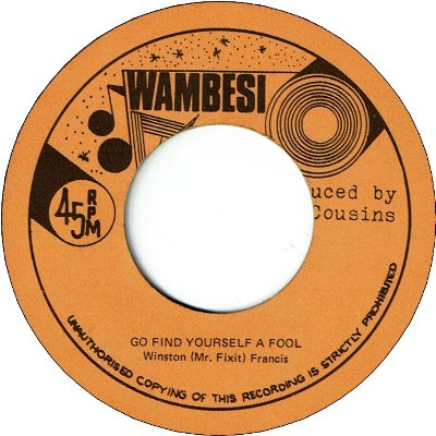 GO FIND YOURSELF A FOOL (VG+) / VERSION (VG+)