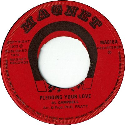 PLEDGING YOUR LOVE (VG+) / VERSION (VG+)