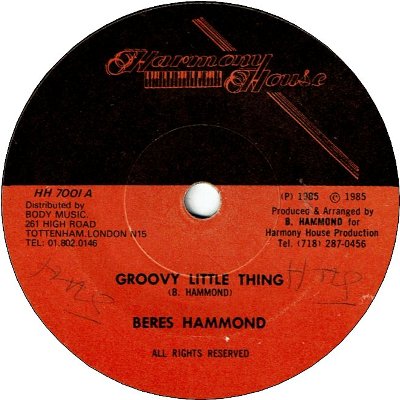 GROOVY LITTLE THING (VG+/SWOL) / VERSION (VG-)