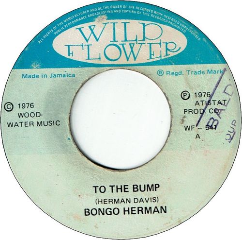 TO THE BUMP (VG/Stamp) / VERSION (VG-/WOL)